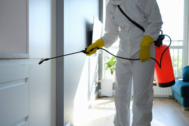 Best Residential Mold Removal  in Longview, TX